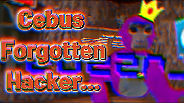 Cebus Forgotten Hacker…