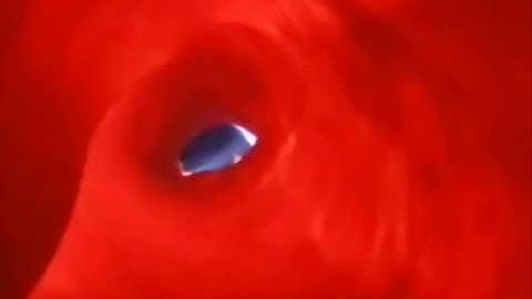 brain with recycled biology