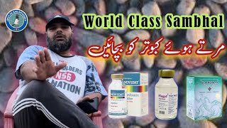 World's Best Sambhal by Ustad Usman Butt