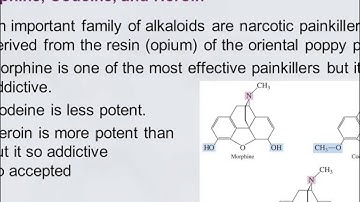 3B 6.11 Alkaloids