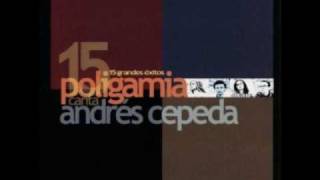 Miniatura del video "Fue Solo Amor - Poligamia"