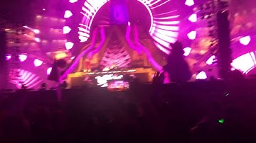 Yellow claw @edc20 Las Vegas edc2016