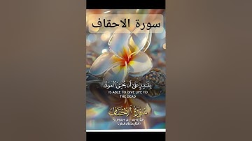 سورة الاحقاف #quran #دعاء #دويتو #صباحالخير #duet #دعاءمستجاب #تيك_توك #لايك #حالاتواتس