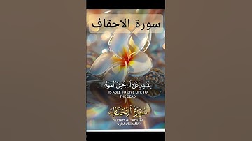 سورة الاحقاف #quran #دعاء #دويتو #صباحالخير #duet #دعاءمستجاب #تيك_توك #لايك #حالاتواتس
