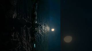 Novocaine One Piece Live Action Scenery