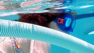Pool Univeral 005