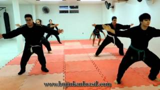 Bujinkan Brazil - Fudo Myo Dojo Fortaleza