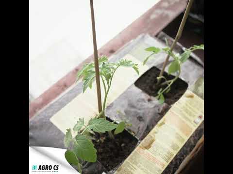 Video: Balkónová zeleninová záhrada – pestovanie zeleninovej záhrady na balkóne