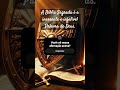 The Holy Bible #jesus #motivacional #palavraquesalva #palavramotivacional #mensagensdivina #mensagem