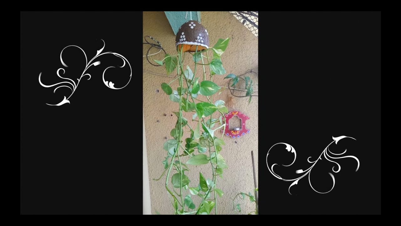 Hanging Flower Pot Hanging Pot for Money Plant YouTube