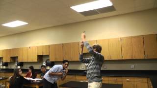 Phun in Physics