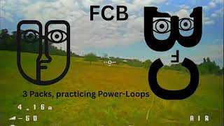 Practicing Power loops and a Tree Landing... | Air 75