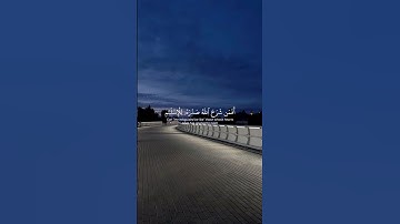 اسمعها بقلبك ❤️ تلاوة تهز المشاعر بصوت #محمد_اللحيدان 🌿 #سورة_الزمر #قرآن_كريم #راحة_نفسية #quran