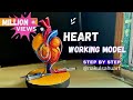 Biology project  heart working model 3d model science biology medical projectnakulsahuart