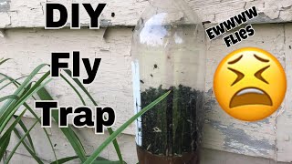 How to make a DIY fly trap