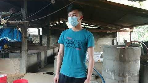 “Ngã ngửa” khi biết sự thật đằng sau cách nấu rượu gạo.