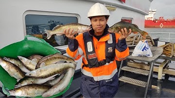 Fish Kibbeling Friesland Style Smaak Lekker