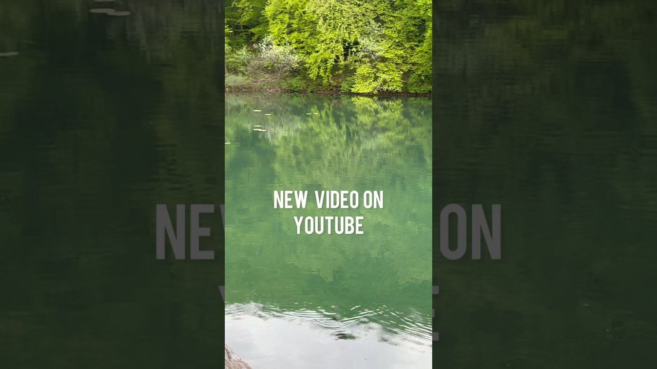 Full video available now!Search “Arlesheim Basel Land 4K Walk” on my channel!