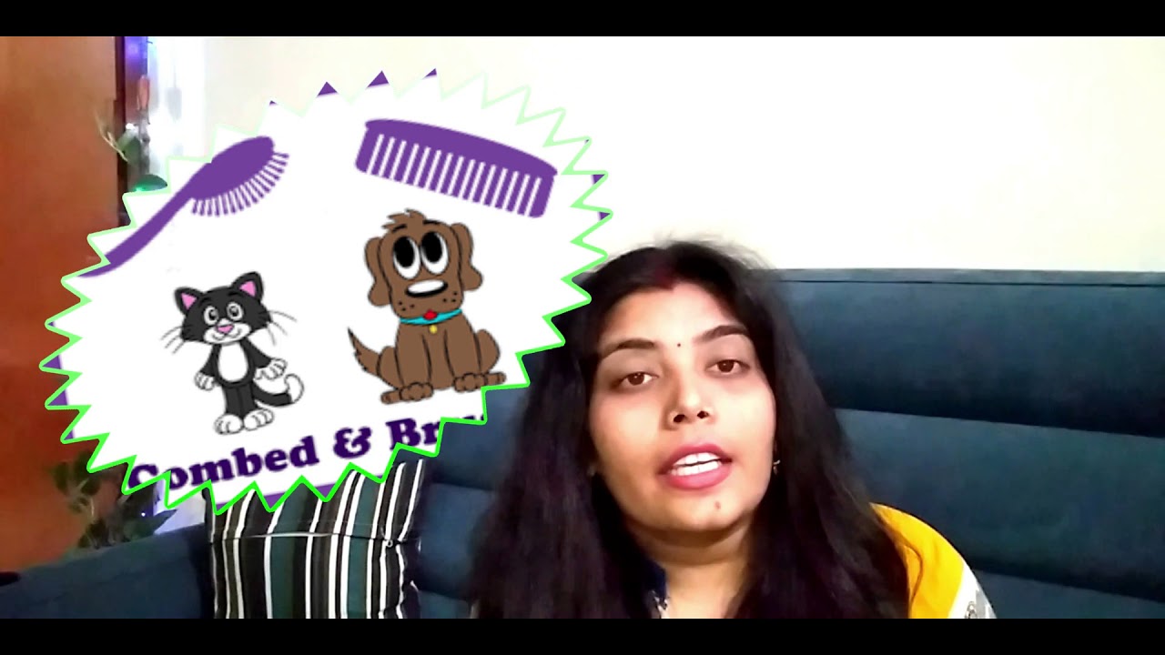 Pet care tips Pet care tips
