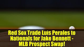 Red Sox Trade Luis Perales to Nationals for Jake Bennett - MLB Prospect Swap!