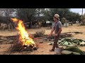 Como Chamuscar Nopal Forma Artesanal Y Original Usando Leña