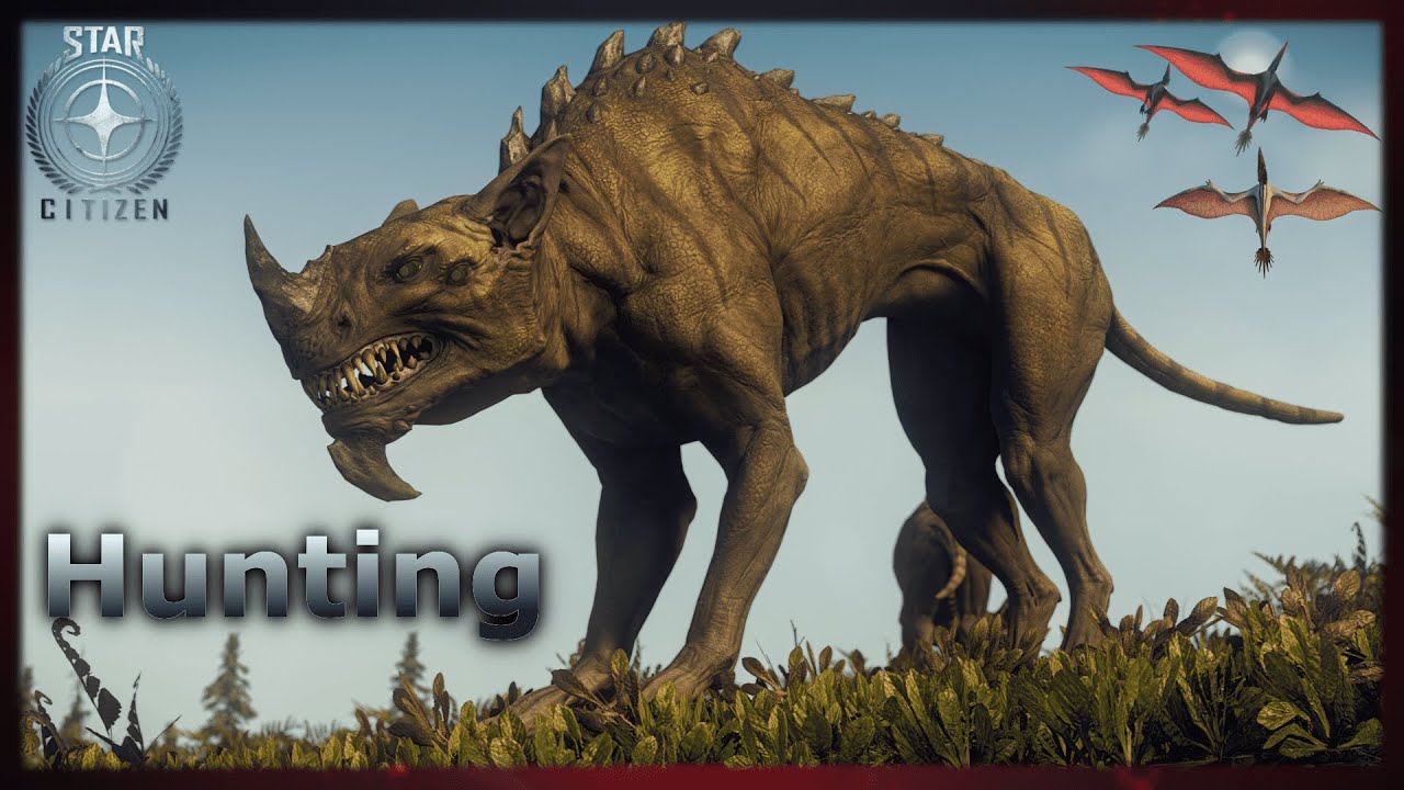 Star Citizen | Hunting Gameplay 💰 | Anfänger Guide | Deutsch