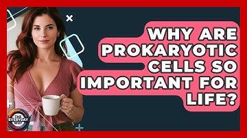 Why Are Prokaryotic Cells So Important For Life? - The Everyday Why