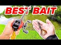 THROW THIS BAIT & Catch MORE Bass (Bass Fishing Tips)