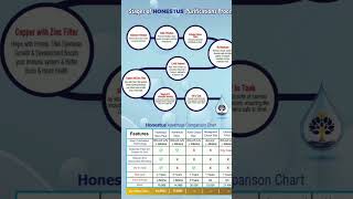 Stages of HONESTUS Purification Process...