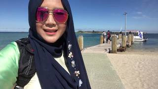 Penguin Island Wildlife Cruise
