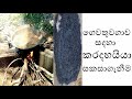 කරදහයියා සකසාගැනීම karadahayiyaa sakasagenima biochar How To Make Activated Carbon from Charcoal