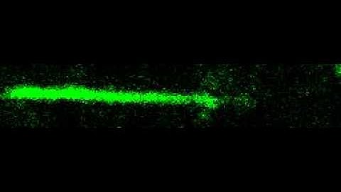 thermal fluctuation of Fg