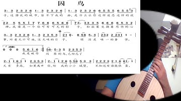 囚鸟/囚鳥 Joe 中阮 Bird in a cage - played by zhongRuan