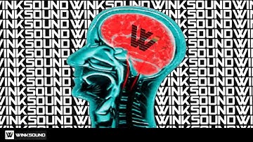 Welcome to WinkSound!