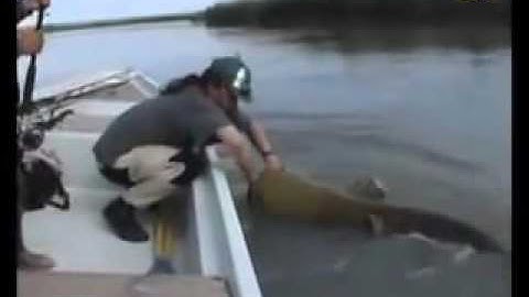 những pha câu cá khũng nhất thế giới