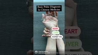 Pulse Positions in Chinese Medicine