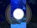 緊張に打ち勝つ最強の呼吸法 #マインドフルネス #瞑想 #呼吸法