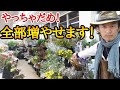 【禁断の挿し木】店長が誰でも手軽にお得にガーデニングを楽しめる植物の増やし方を教えます　他言厳禁です！　japan garden gardening plant　cutting