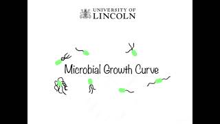 Microbial Growth Curve screenshot 1