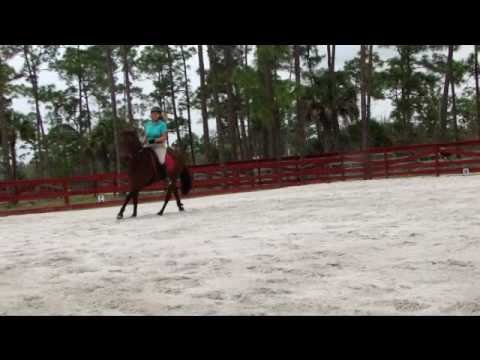 von Uhl School of Horsemanship- Charlene and Eagle...