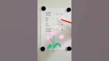 Learn the Swedish months and seasons 🇸🇪 (Basic Swedish)