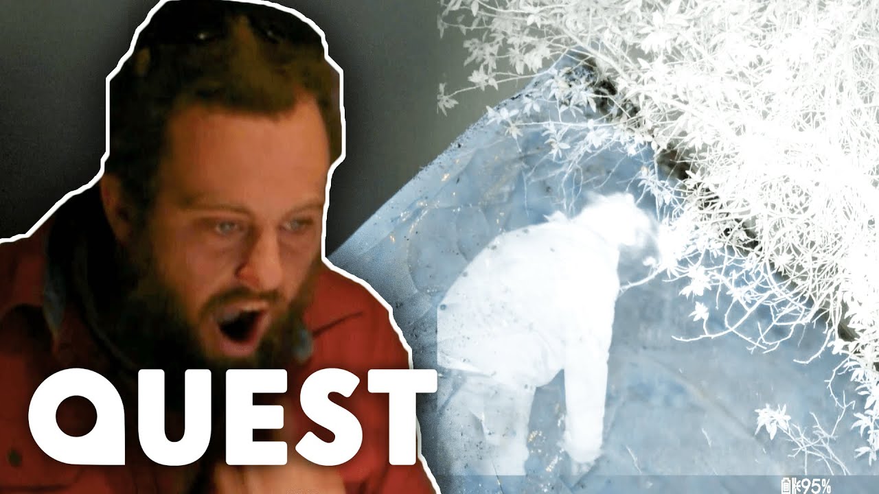 Scientist Shocked By Evidence Of “Alchemy” And “Skinwalkers” | Mystery ...