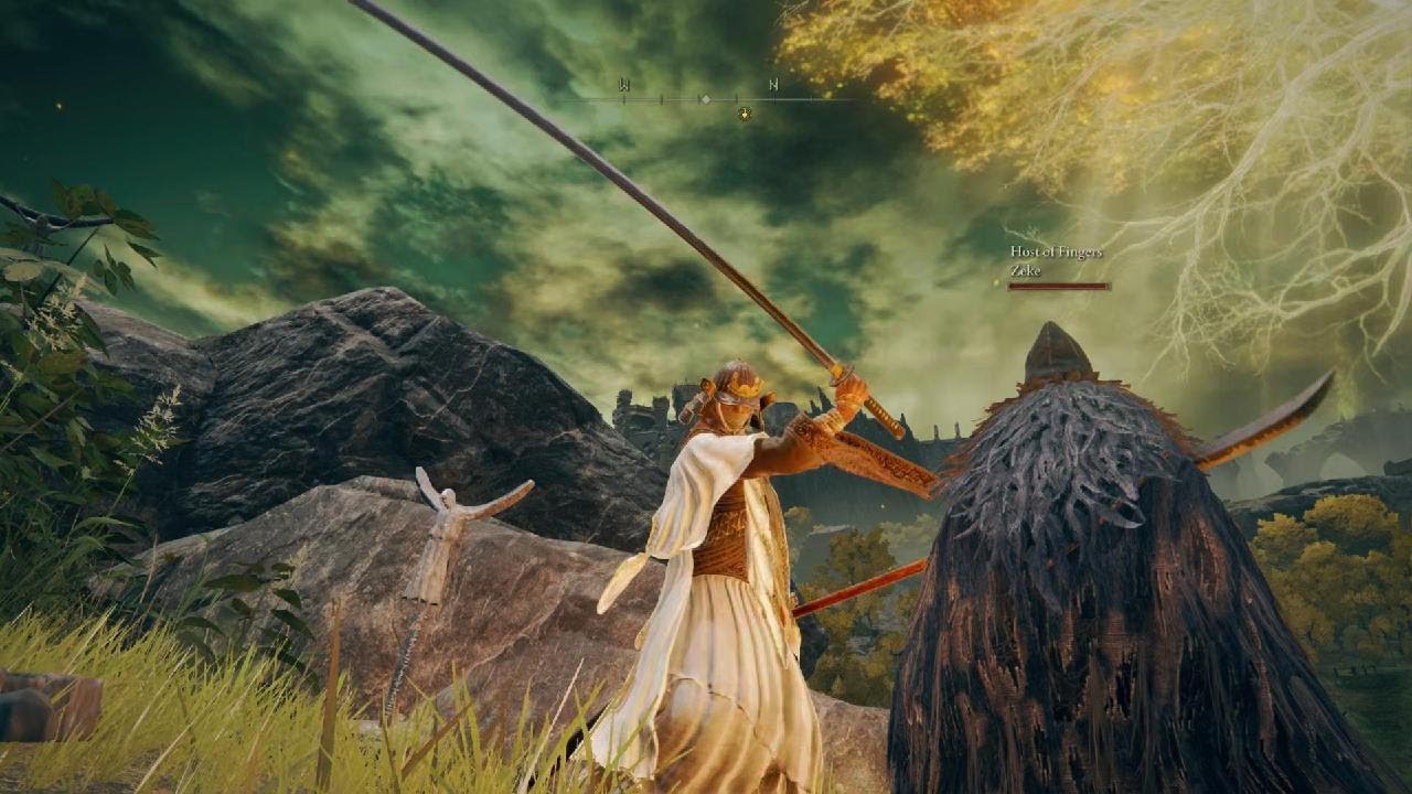 Saving a Host and Invader From an Invisible Invader - Elden Ring