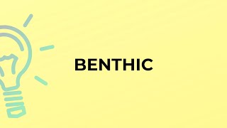 What is the meaning of the word BENTHIC?