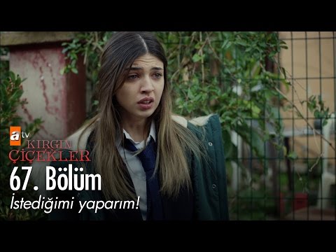 İstediğimi yaparım! - Kırgın Çiçekler 67. Bölüm - atv