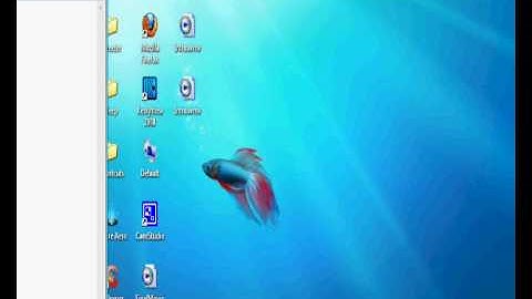 How to use Windows 7 Snap Feature