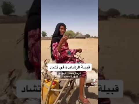 قبيلة الرشايدة في تشاد