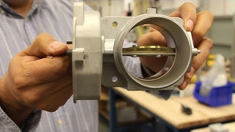 Standard Auto Parts: Electronic Throttle Bodies