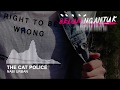 The Cat Police - Nabi Urban | Video Lirik
