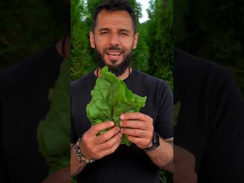 Паста с баклажаном #shorts